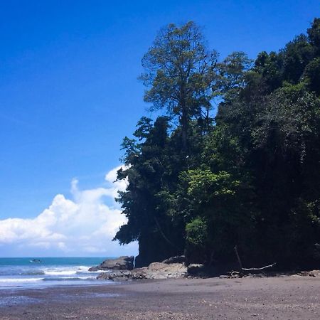 Casa Ballena Eco Hostelウビタ エクステリア 写真