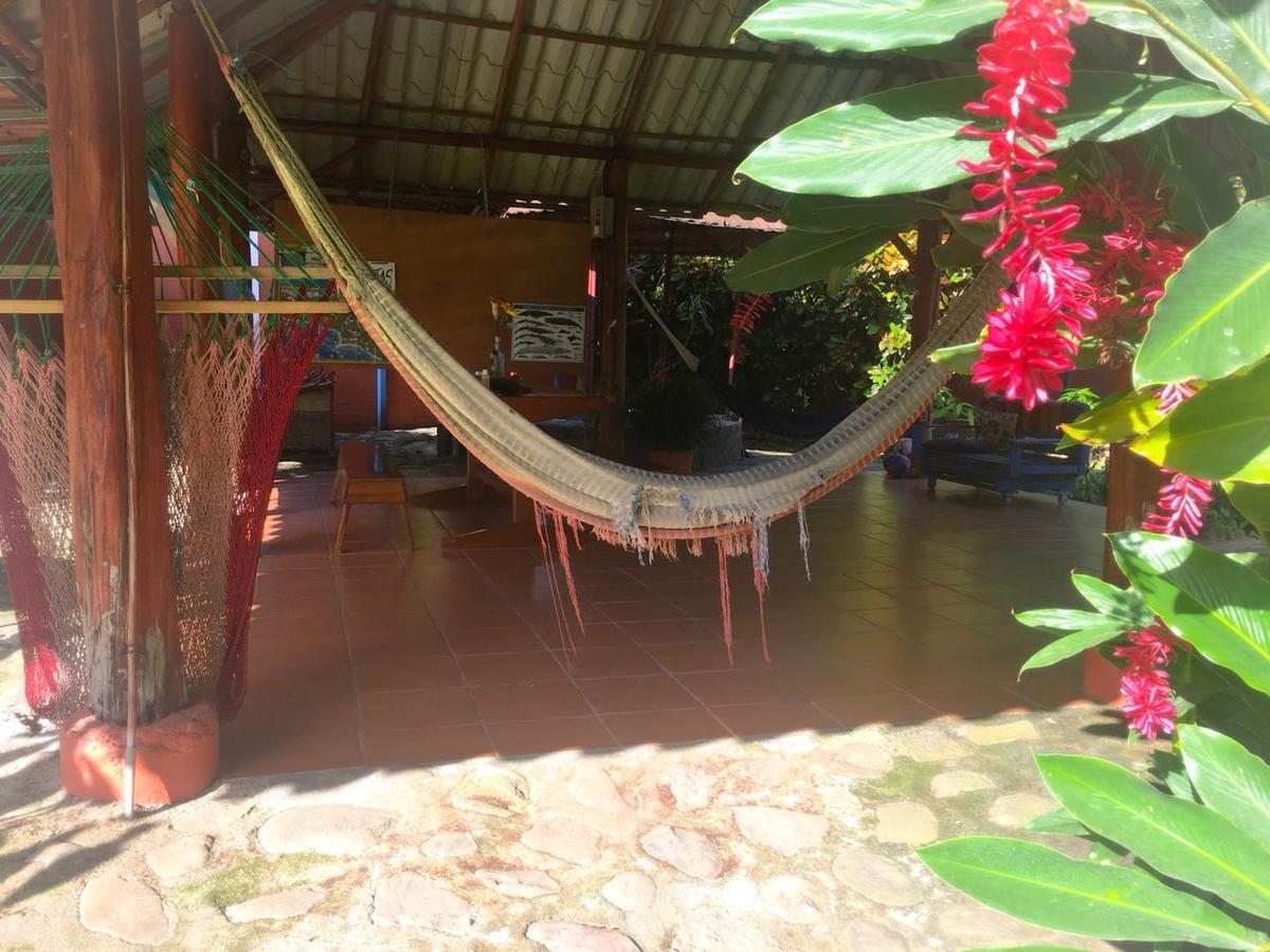 Casa Ballena Eco Hostelウビタ エクステリア 写真