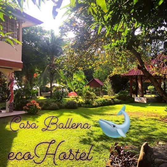 Casa Ballena Eco Hostelウビタ エクステリア 写真