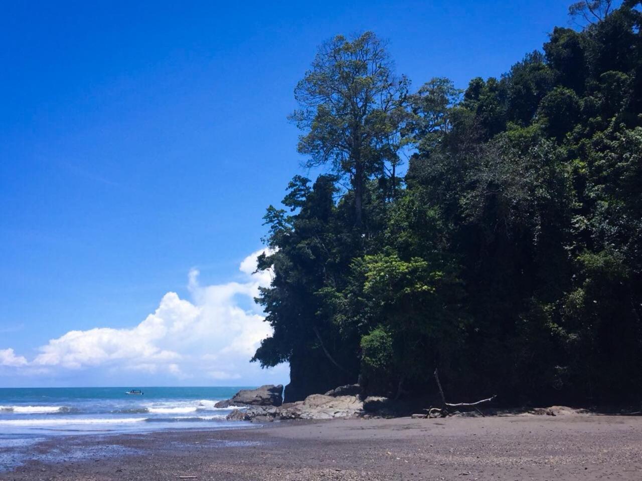 Casa Ballena Eco Hostelウビタ エクステリア 写真